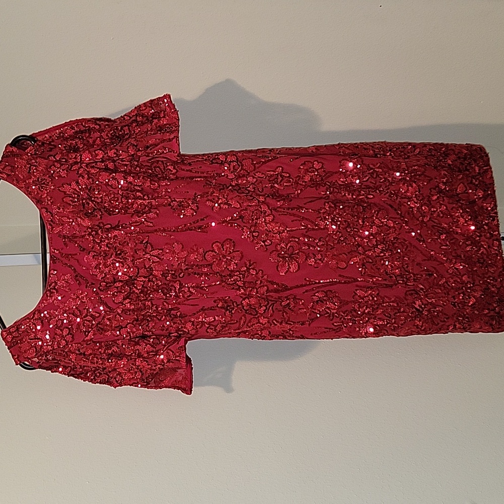 ALEX EVENINGS RED SEQUIN SHEATH DRESS - Picture 6 of 9